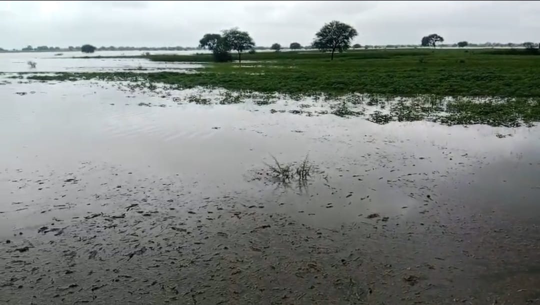 यमुना नदी की बाढ़ से गांव के संपर्क मार्ग डूबे, हजारों बीघा फसल बर्बाद